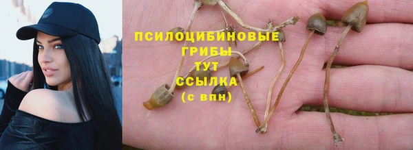 кокс Алексеевка