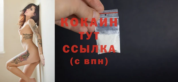 кокс Алексин
